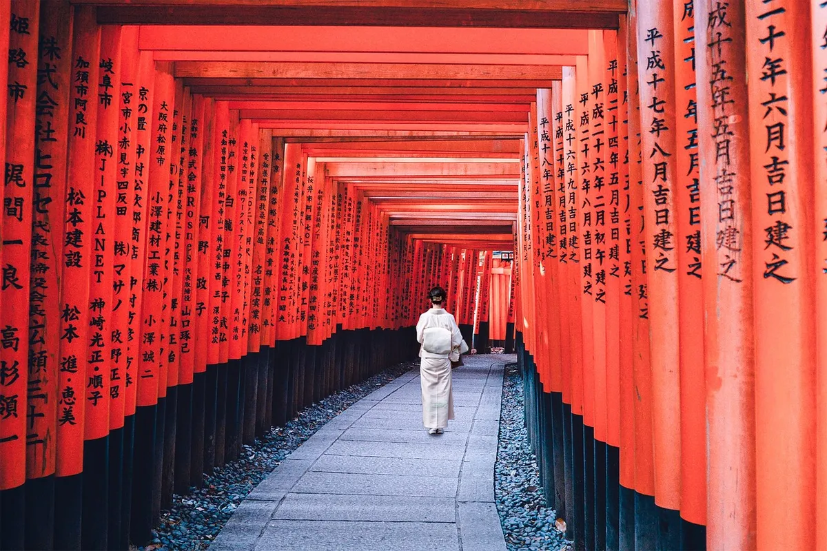 woman, path, kimono, walk, autumn, japanese, tradition, fashion, kimono, japanese, japanese, japanese, japanese, japanese