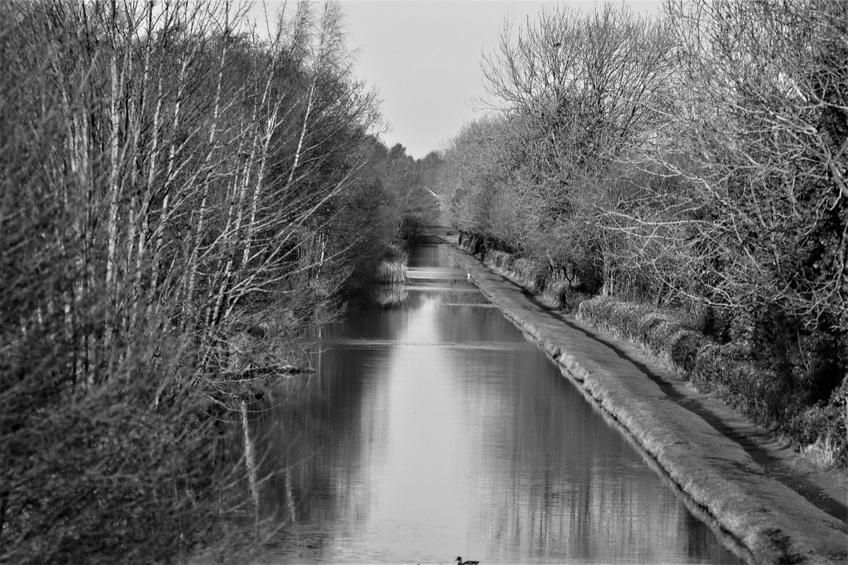 영국 유튜버, 트위치 채널