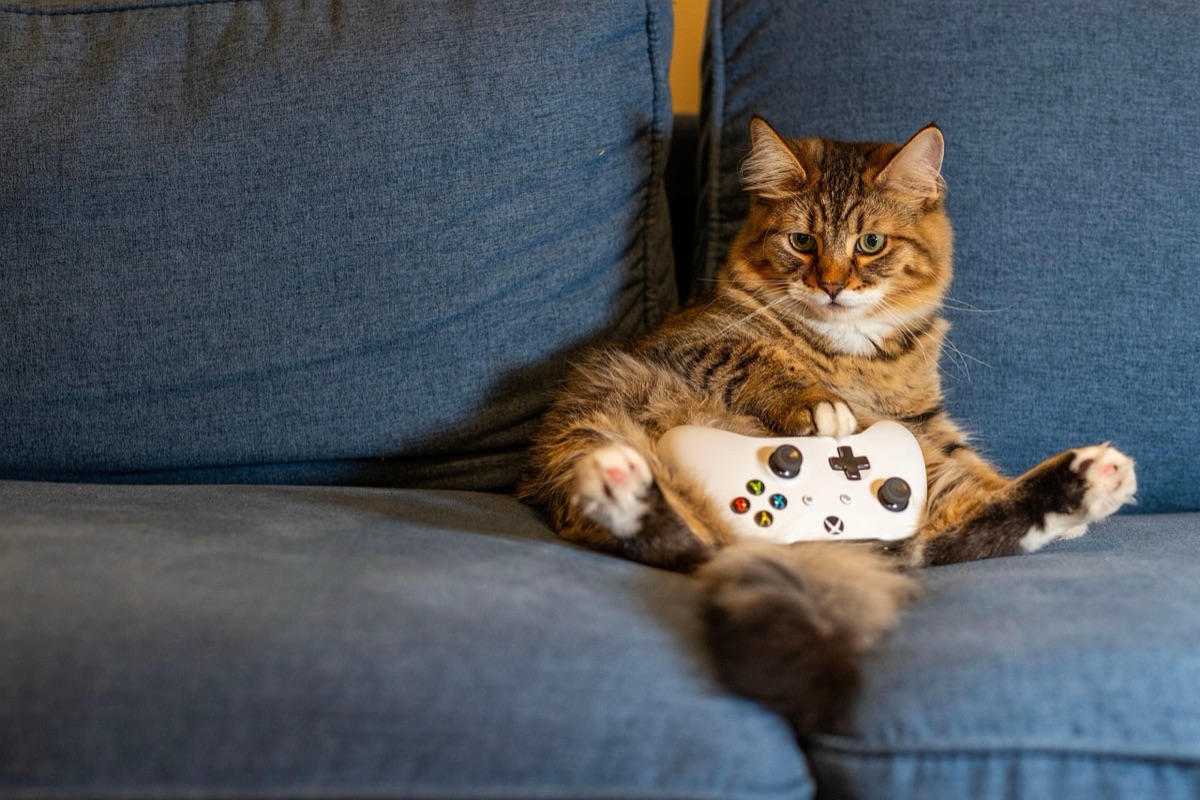 ゲーム実況で使用されるヘッドセットとコントローラー